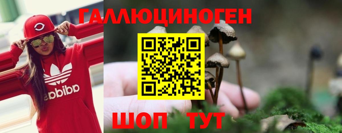 Галлюциногенные грибы ЛСД  Вход с VPN  Псилоцибиновые грибы Cubensis  Дагестанские Огни 
